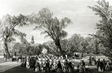 Botanische Gärten, Kapstadt, Druck von W. Simpson, ca. 1850er Jahre